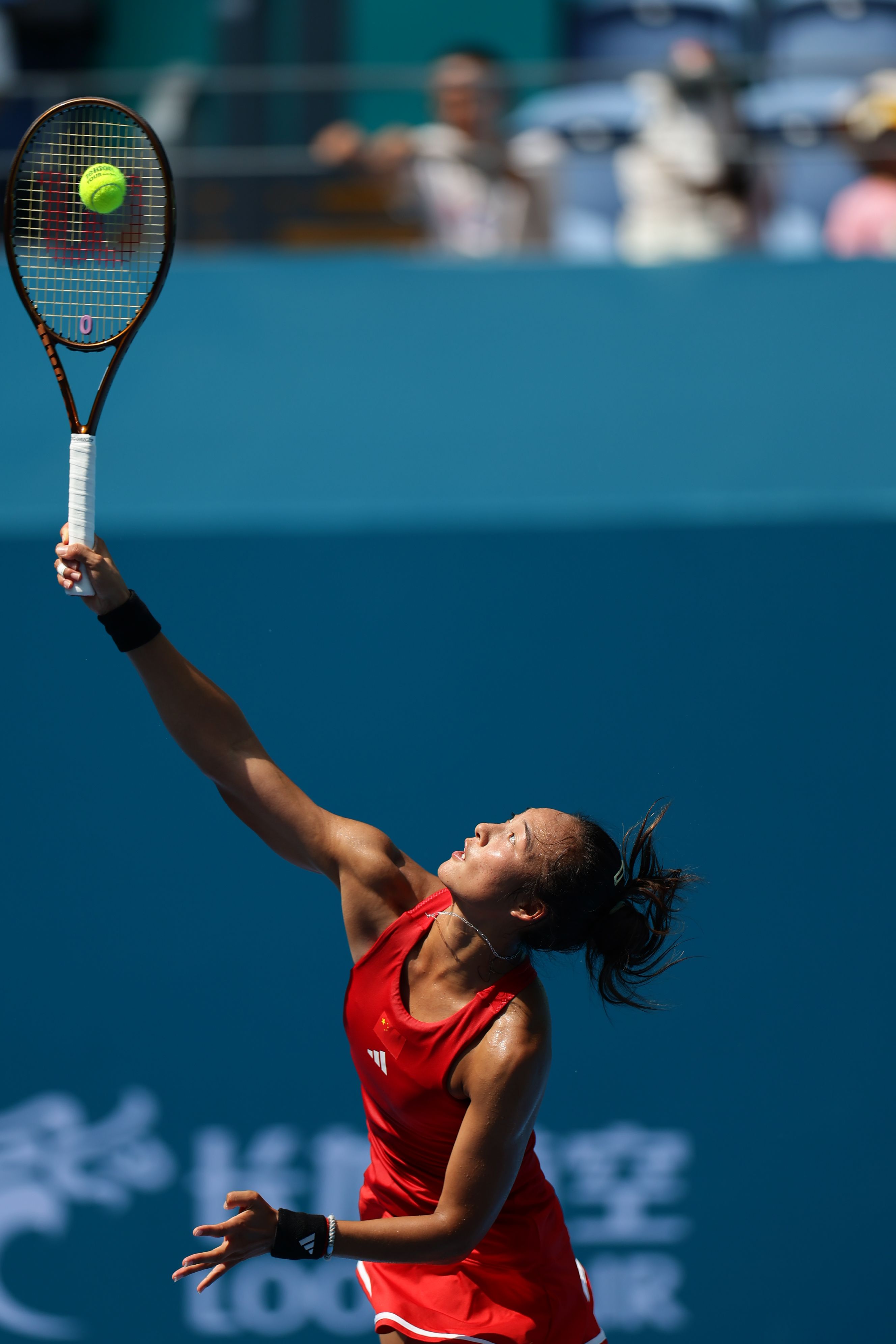 蒯纪闻从二 蒯纪闻从二