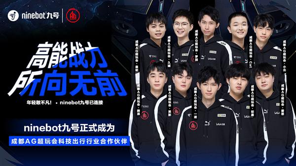 什么是