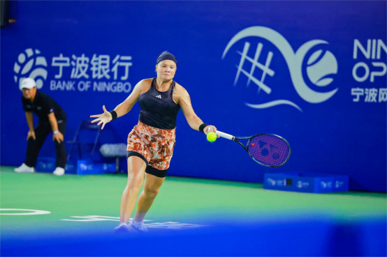 系内外的双 系内外的双